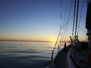 PICT0028300x225