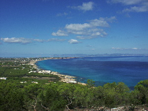 PICT0048300x225