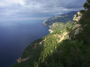 PICT0268300x225