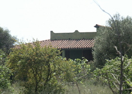 foto-52-320x240