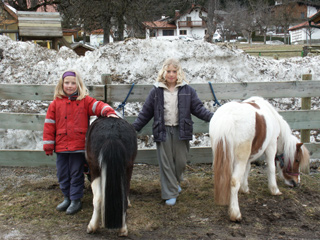 foto-44-320x240